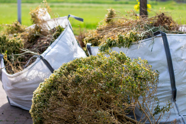 Best Professional Junk Removal  in Oglethorpe, GA